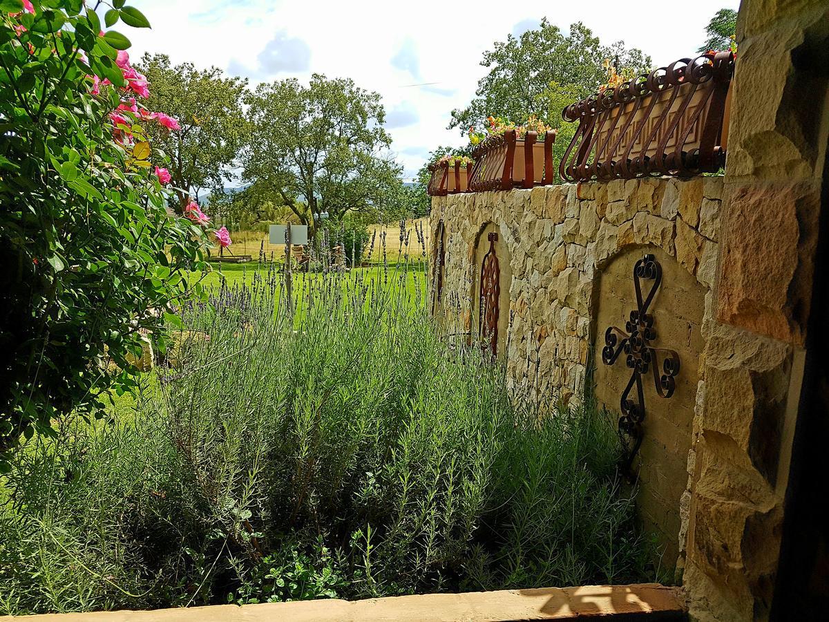 Vila Affi Lande Boetiek Guestfarm Fouriesburg Exteriér fotografie